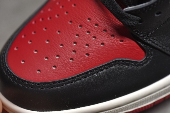 AirJordan1HighSHOES