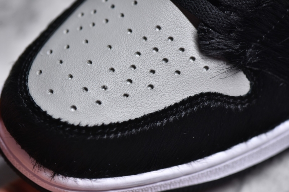 AirJordan1HighSHOES