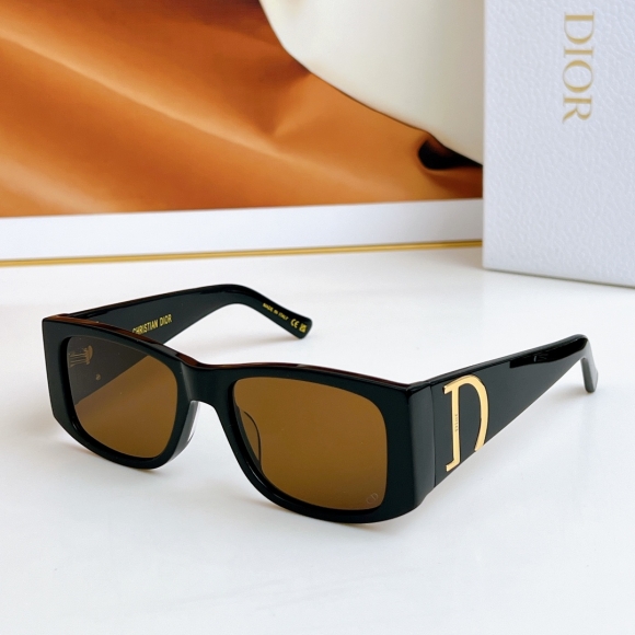 Dior-5