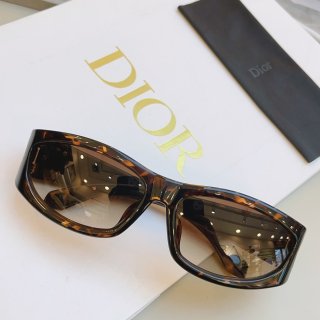 Dior-5
