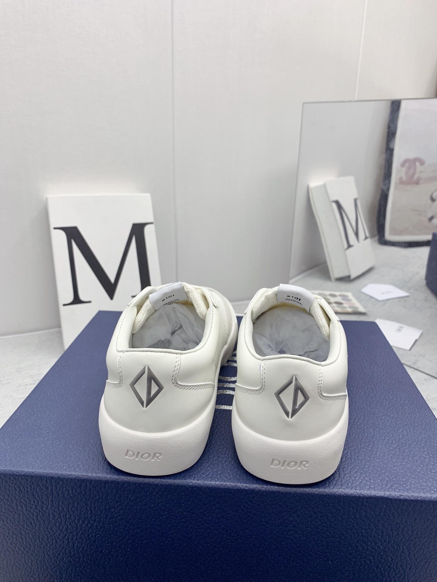 DiorSHOES