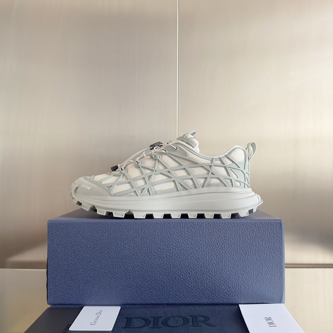 DiorSHOES