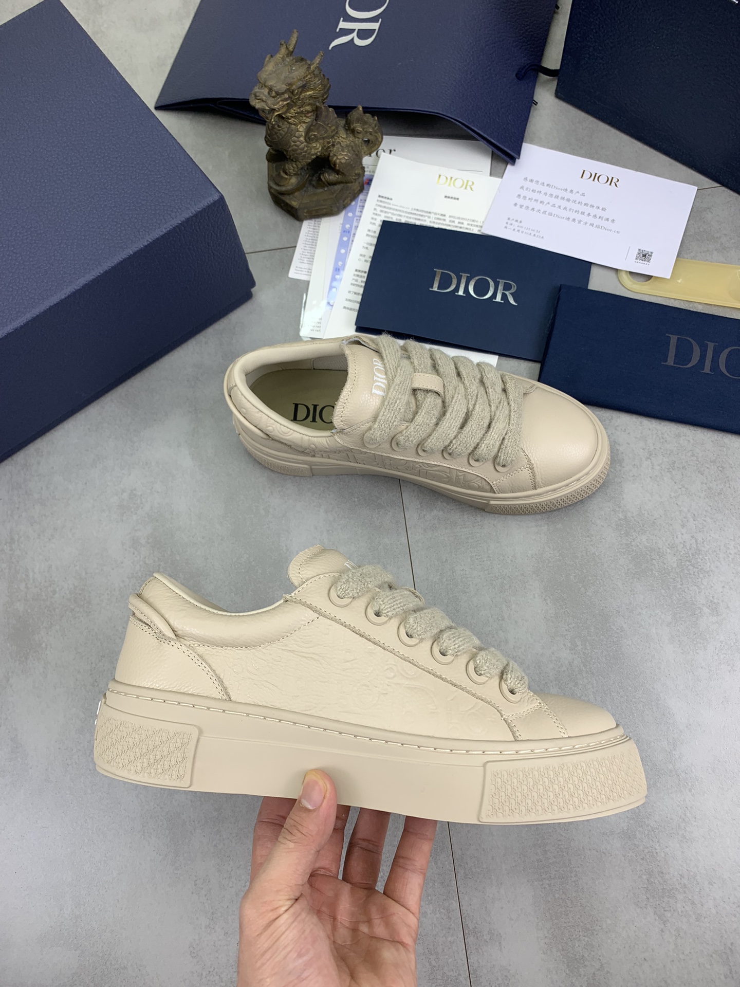DiorSHOES