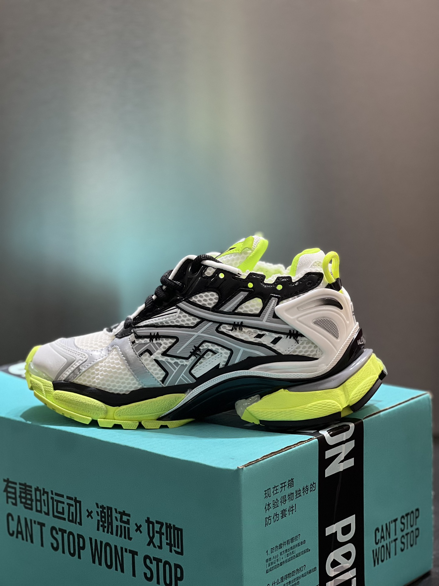 BalenciagaSHOES