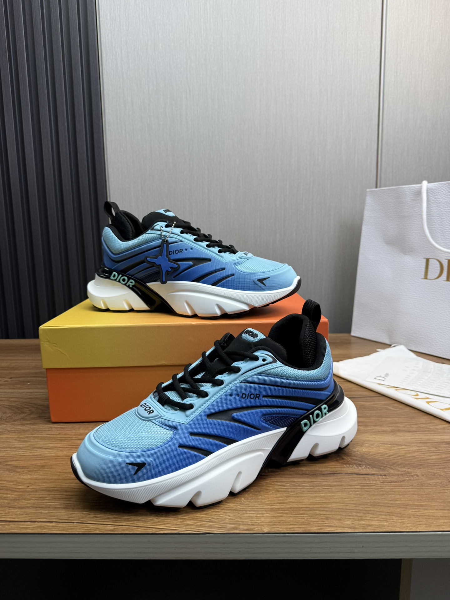 DiorSHOES