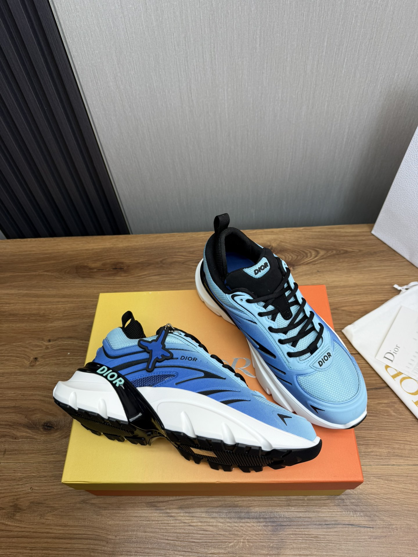 DiorSHOES