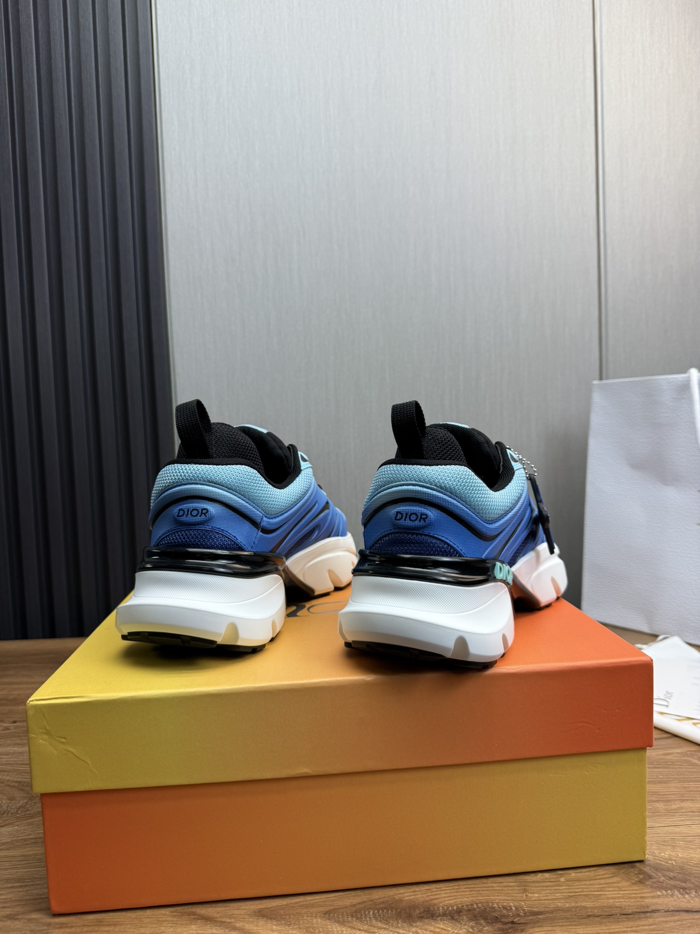 DiorSHOES